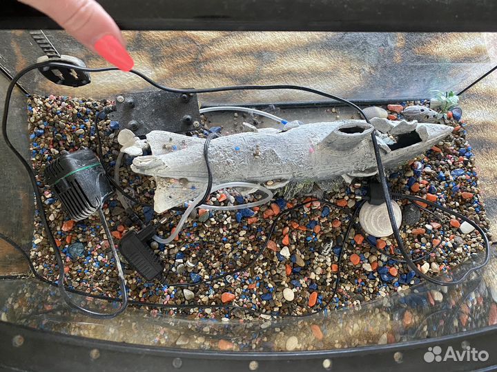 Аквариум с комплектом всех пренадлежностей