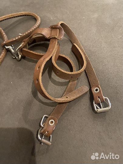 Поводок для кота или маленькой собаки