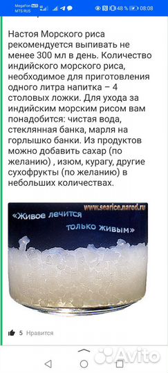 Индийский морской рис