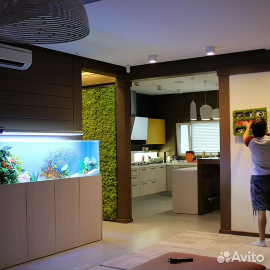 Панно из стабилизированного мха