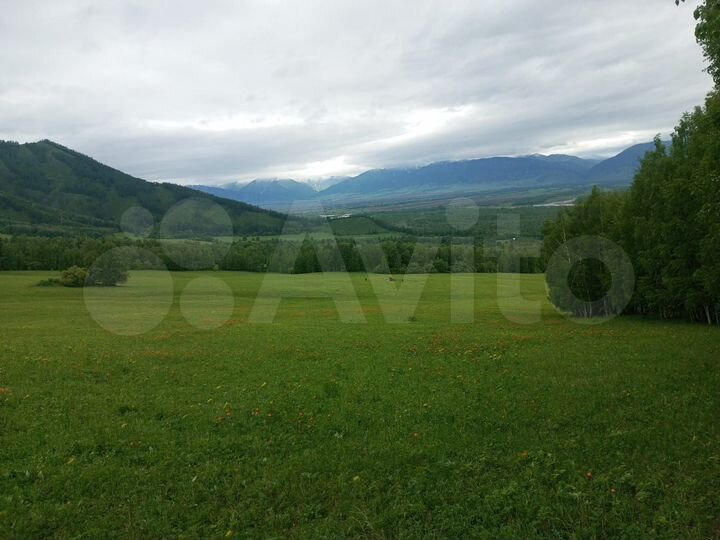 Участок 4,2 га (СНТ, ДНП)