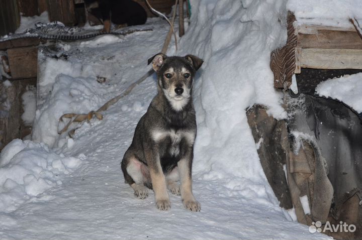 Мальчишки, 3,5месяца