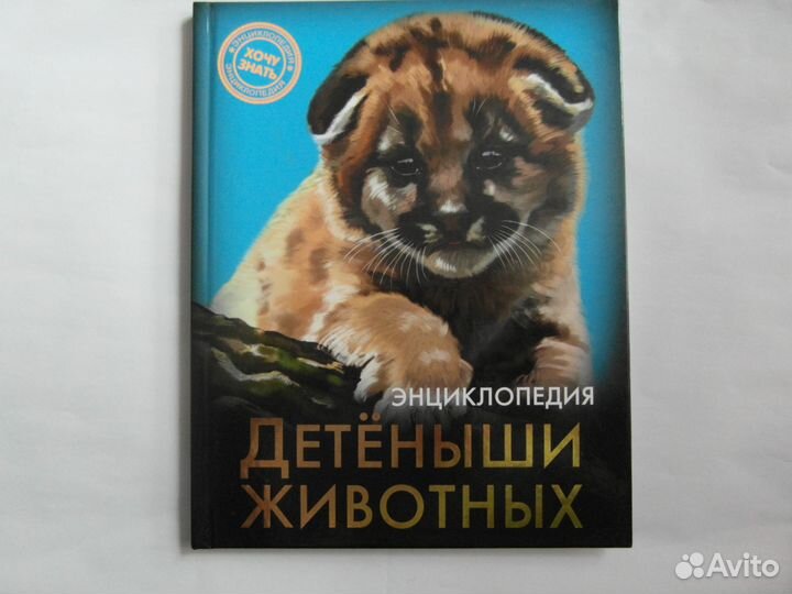 Энциклопедия 