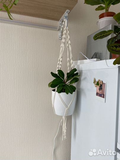 Подвесное кашпо, подвес макраме, плетеное кашпо