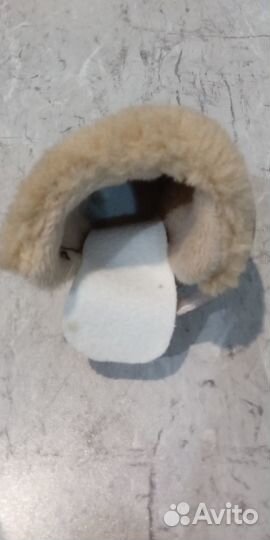 Обувь зимняя для собак