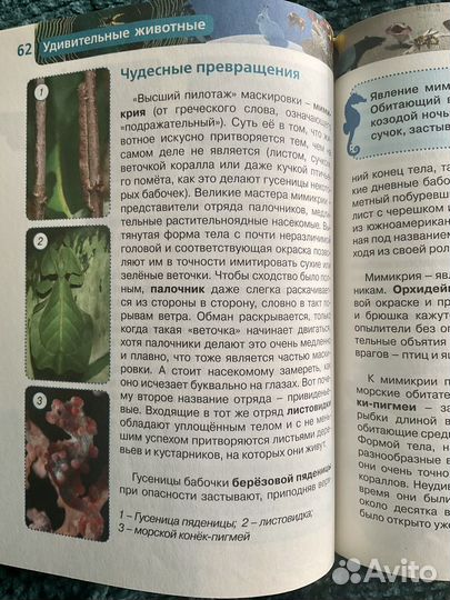 Детская энциклопедия. Удивительные животные