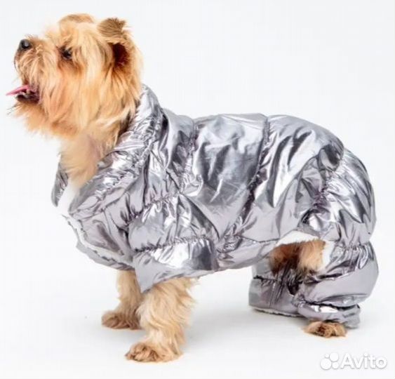 Комбинезон для собак мелких пород