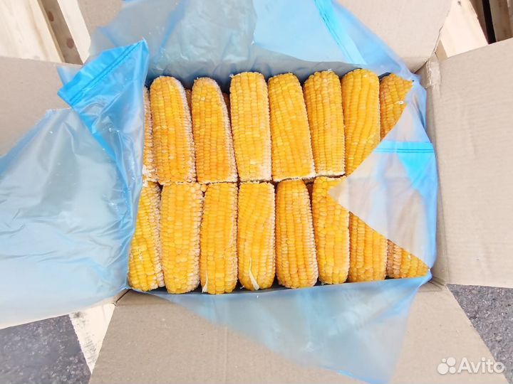 Замороженная кукуруза в початках индия