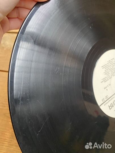 Александр Градский и группа Скоморохи