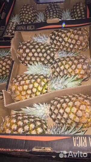 Овощи фрукты