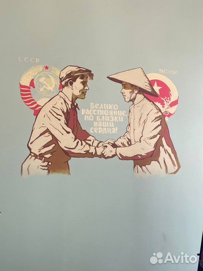 Аренда проектора и экрана