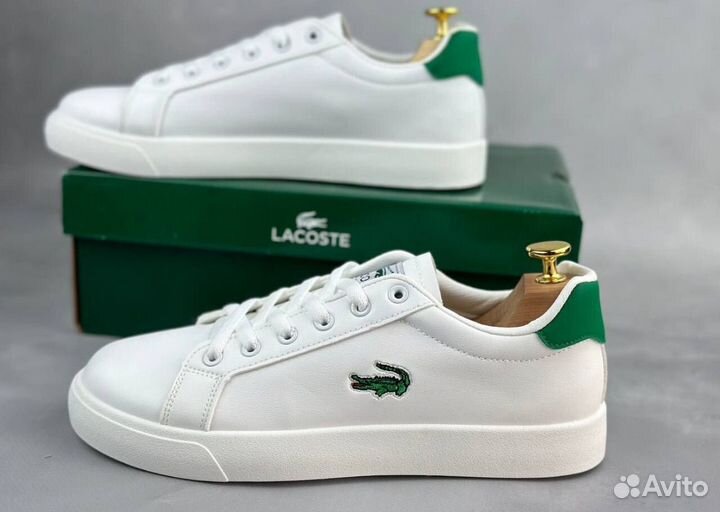 Мужские кроссовки Lacoste