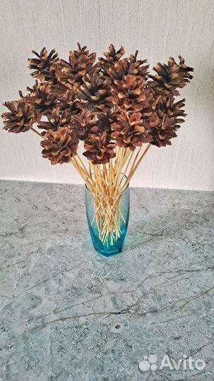 Шишки сосновые