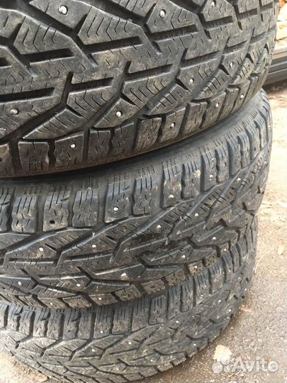 Tigar Ice 205/55 R16