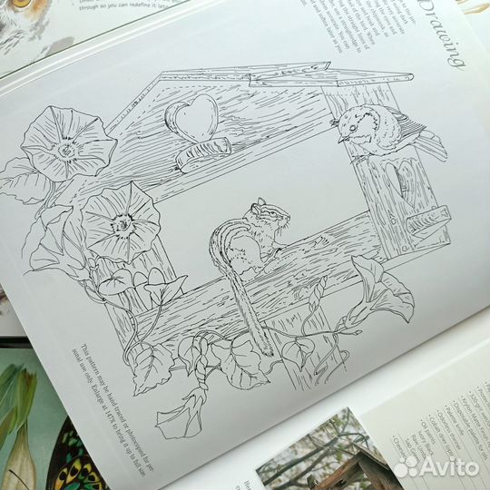 Книга по рисованию на английском языке