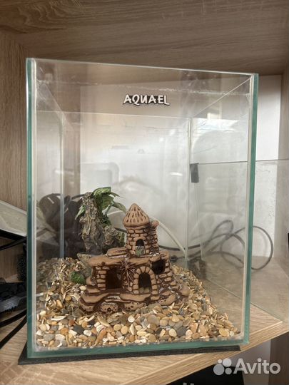 Аквариум