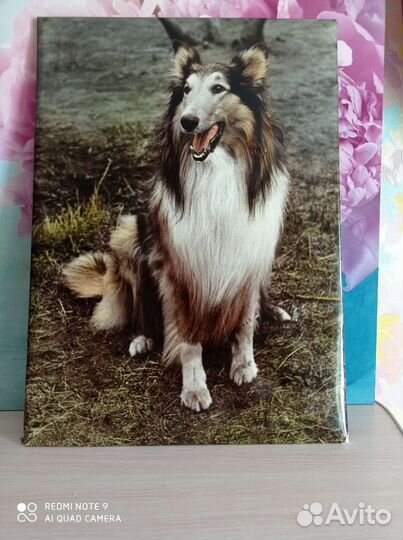 Картина из СССР