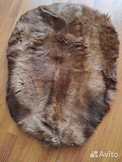 Шкура оленя