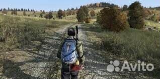 DayZ PS4 RU