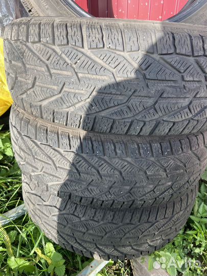 Tigar Winter 205/55 R17 95V
