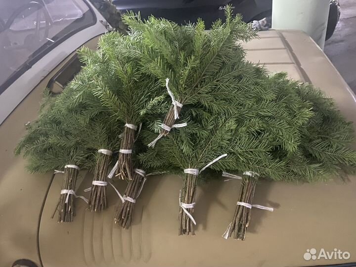 Веники для бани : пихта береза можжевельник дуб