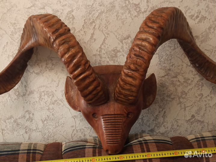 Рога горного барана на деревянной голове