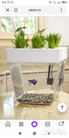 Аквариум - акваферма