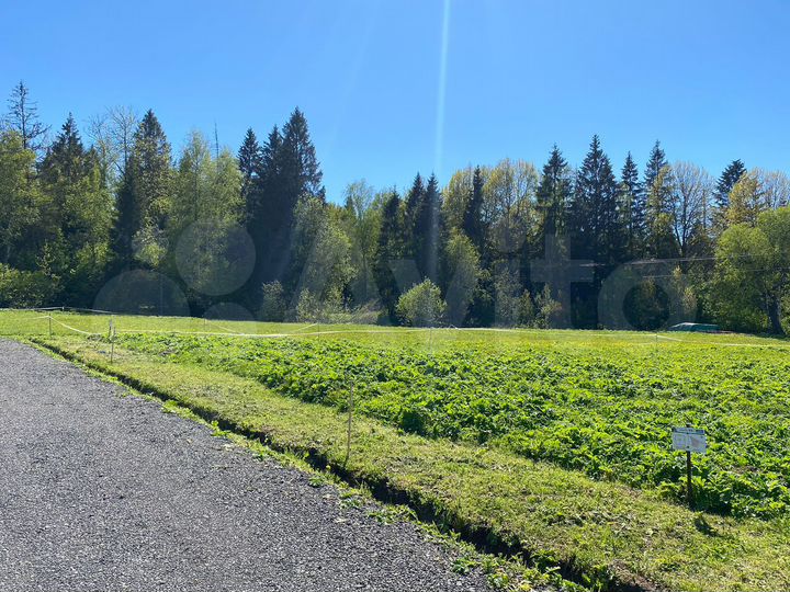 Участок 6,5 сот. (ИЖС)