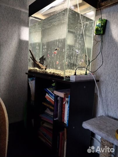 Аквариум с тумбой
