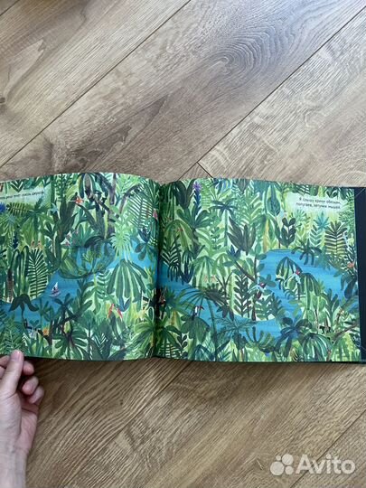 Марк Мартин река