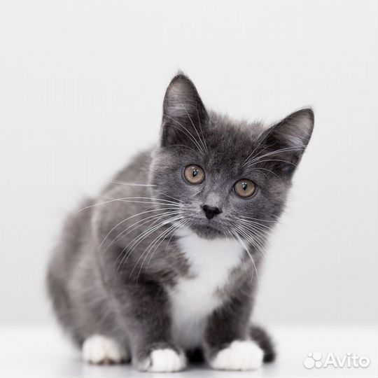 Сухомяткин