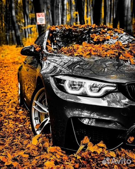 Выкуп авто Нижний Новгород