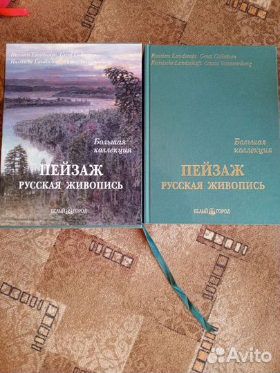 Две книжки А. Ю. Астахова