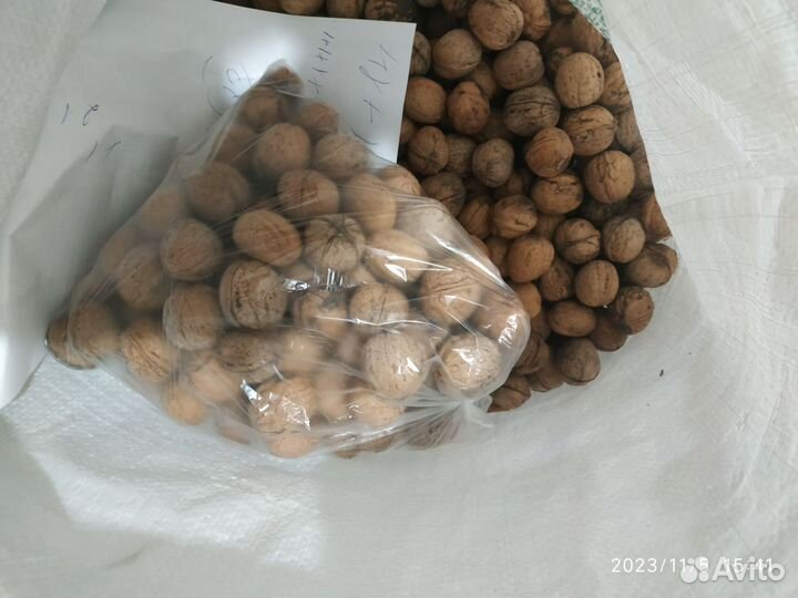 Орех грецкий