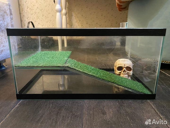 Террариум для черепахи