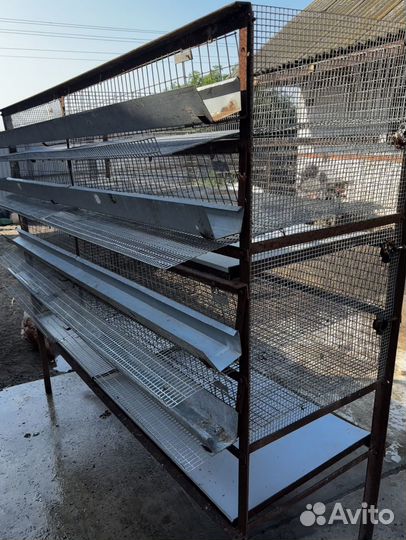 Клетка для перепелов