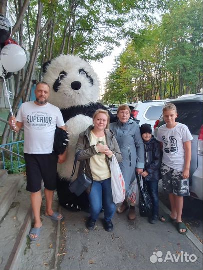 Поздравление Белый Мишка С Днем Рождения Панда