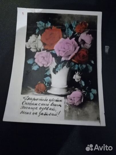 Фотографии