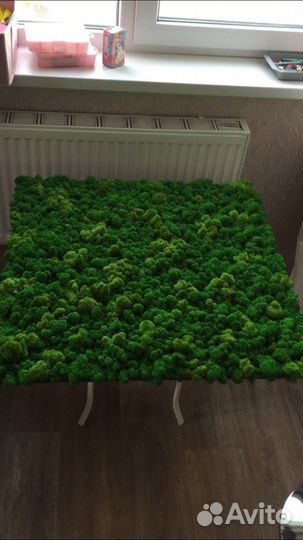 Панно из стабилизированного мха, ягель