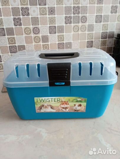 Морская свинка, клеткой, и всем необходимым