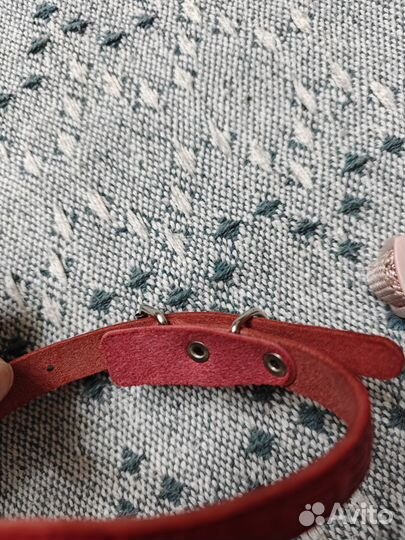 Ошейник для собак