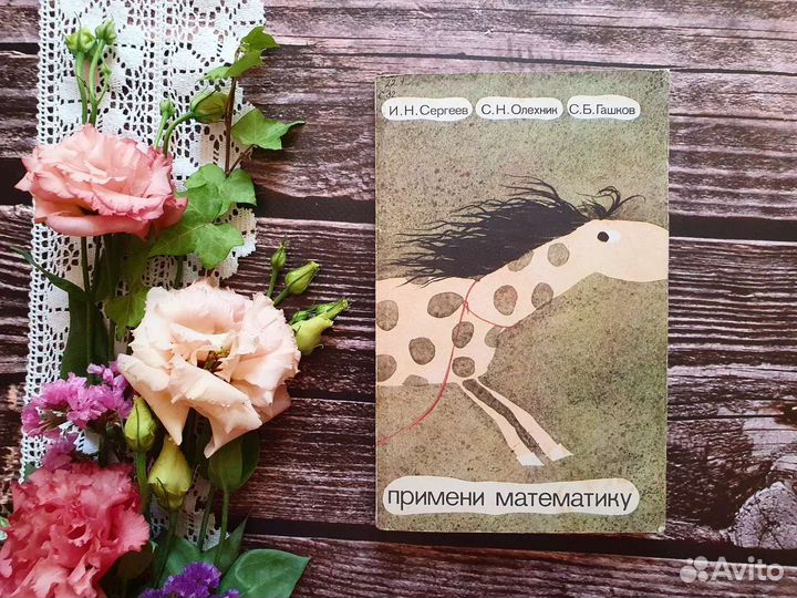 Сергеев. Примени математику 1989 г