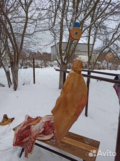 Домашняя свинина