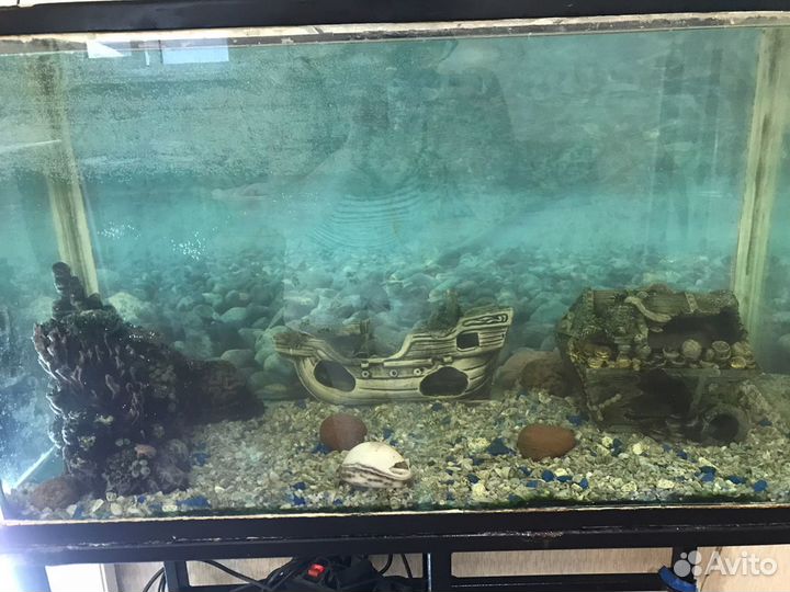 Аквариум