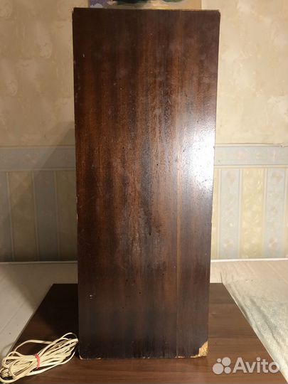 Колонки radiotehnika s90