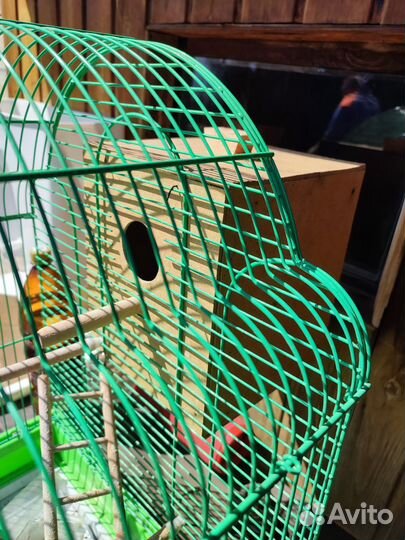 Клетка для попугая с домиком для птенцов