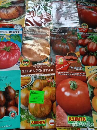 Рассада помидор и перцев Болгарских ласточка