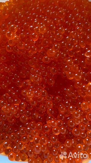 Красная икра кеты с Сахалина