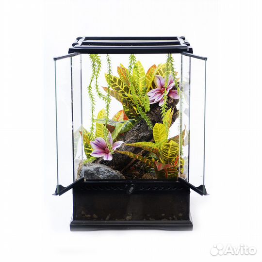 Оформление террариума под ключ