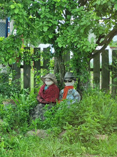 Участок 6 сот. (СНТ, ДНП)